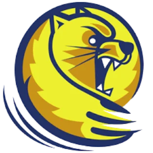 21 logo